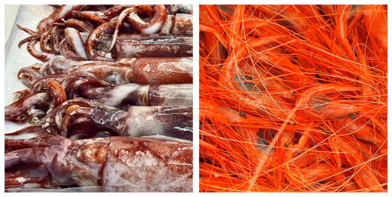 Cucina e prelibatezze dal mare delle Eolie